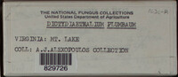 Image Associated With the Occurence